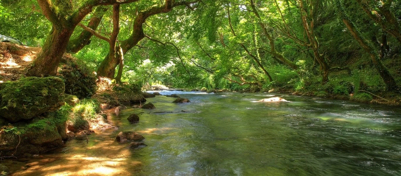 Γιατί τα ποτάμια δεν είναι σε ευθεία γραμμή; (βίντεο)